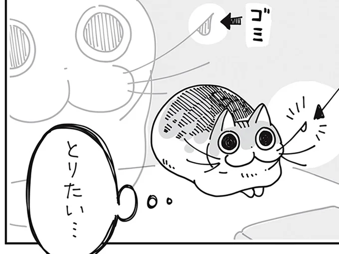 とりたい…