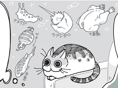 色んなものに見える