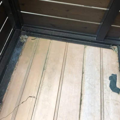 近くで見ると、こけなども生えています　▶まずはこれ