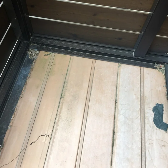 近くで見ると、こけなども生えています　▶まずはこれ