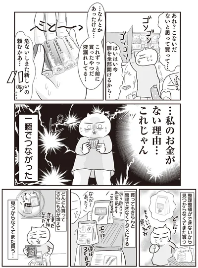 『さよなら！行き当たりばったり人生！お金管理も家事も全部ニガテな主婦の生まれ変わり奮闘記』より