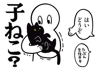 子ねこ？