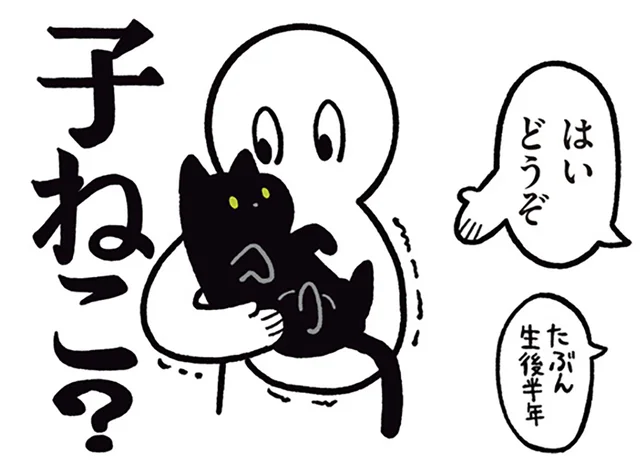 「子ねこ…にしては大きい？」黒猫ろんとのはじめまして