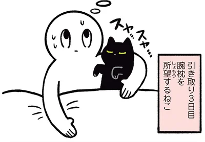 3日目で腕枕を所望するねこ