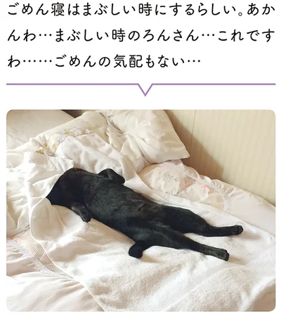 ごめんの気配もない…