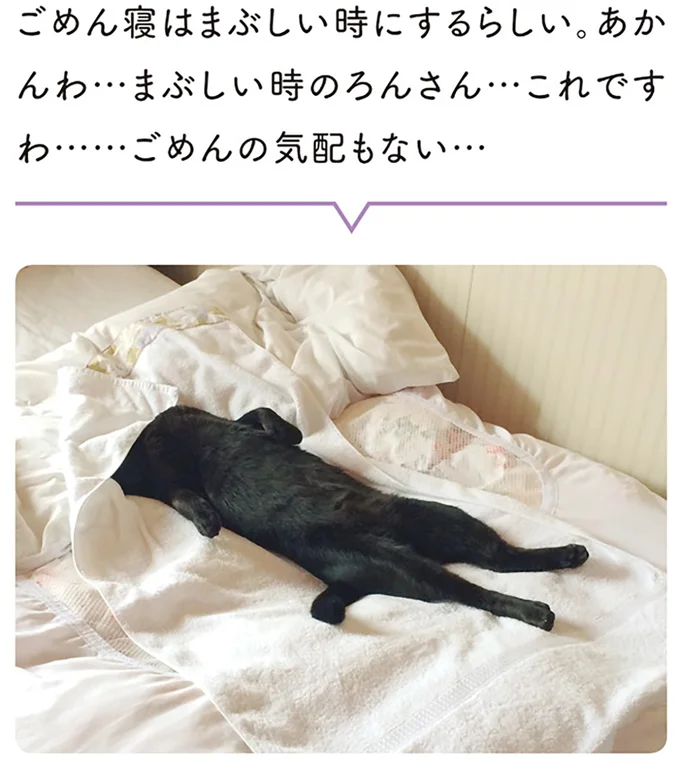 ごめんの気配もない…