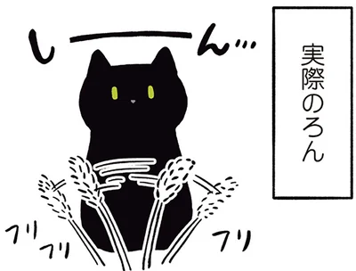 ねこじゃらしに興味がないろん