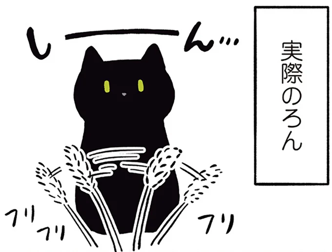 ねこじゃらしに興味がないろん
