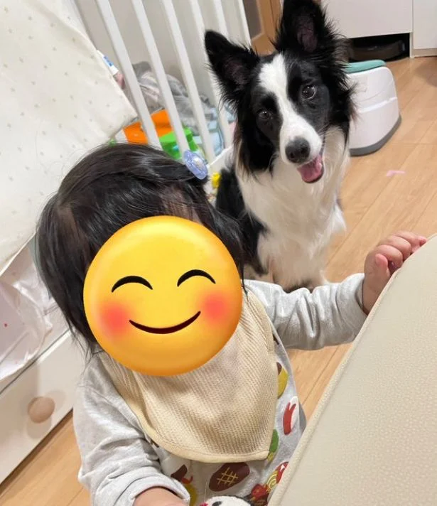 母性があふれる眼差しです▶散歩中のエマちゃん（⇒次へ）