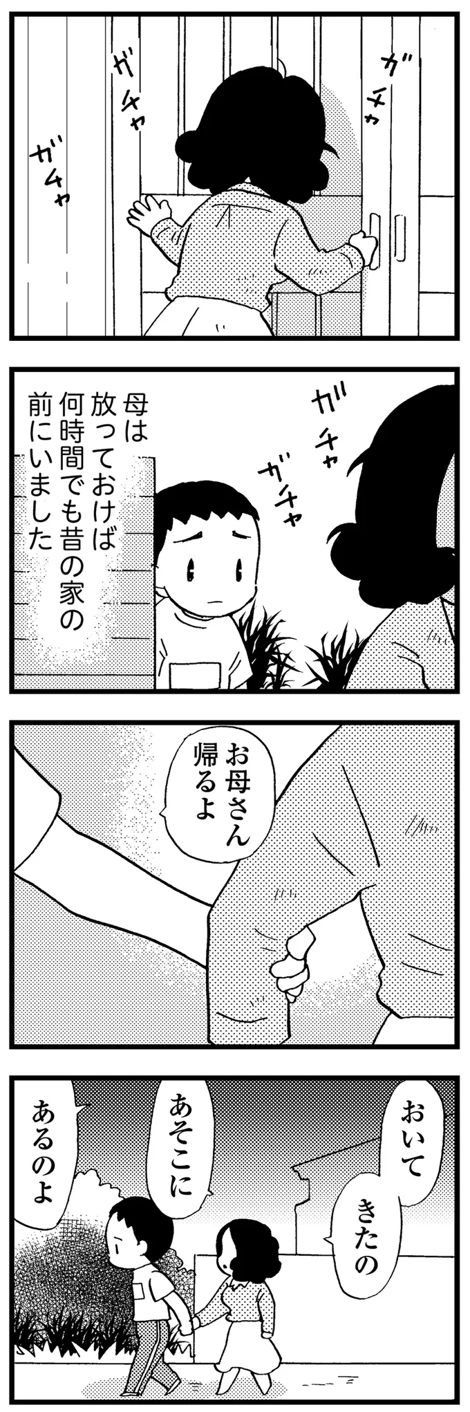 母は放っておけば何時間でも昔の家の前にいた