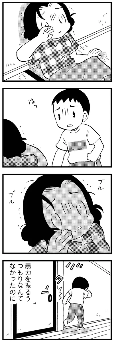 暴力を振るうつもりなんてなかったのに
