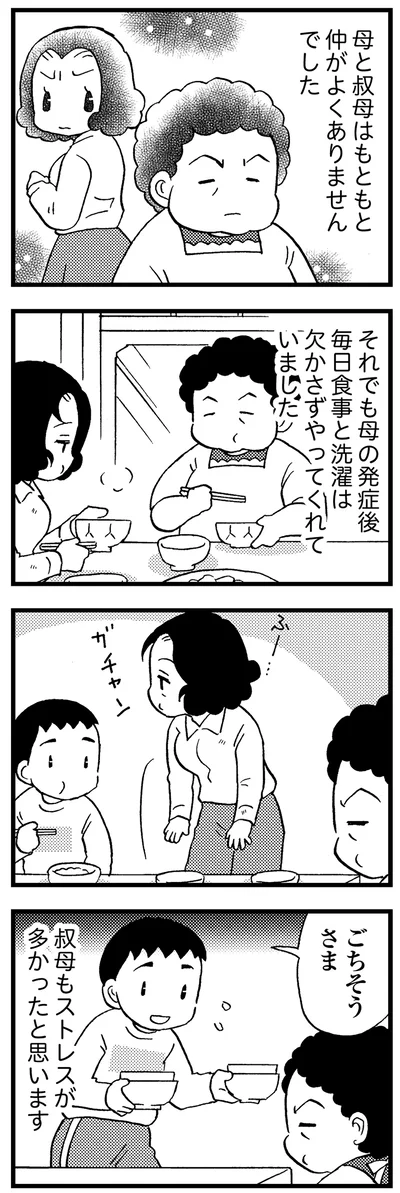 母と叔母はもともと仲がよくありませんでした