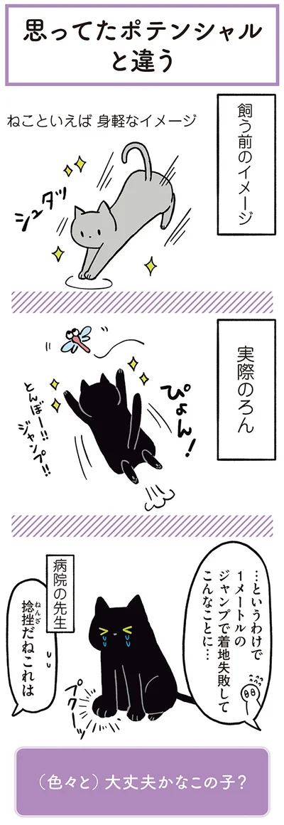ねこといえば身軽なイメージ