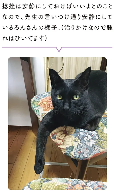 先生の言いつけ通り安静にしているろんさんの様子