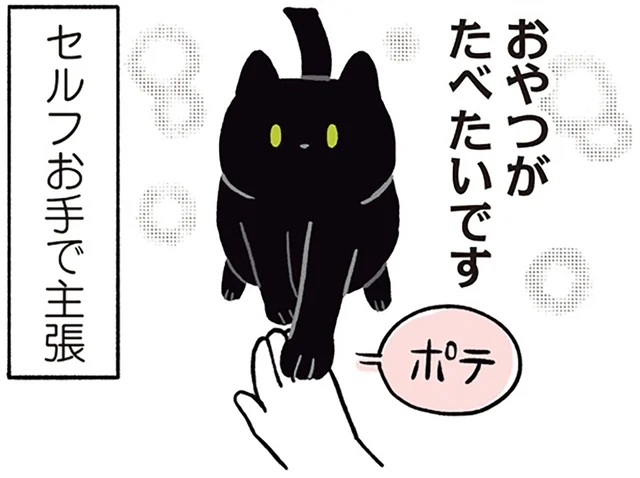 控えめアピールがたまらない。ふわふわおてての黒猫ろん