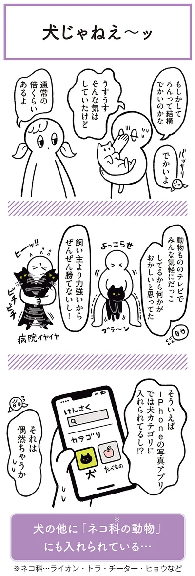 うすうすそんな気はしていたけど