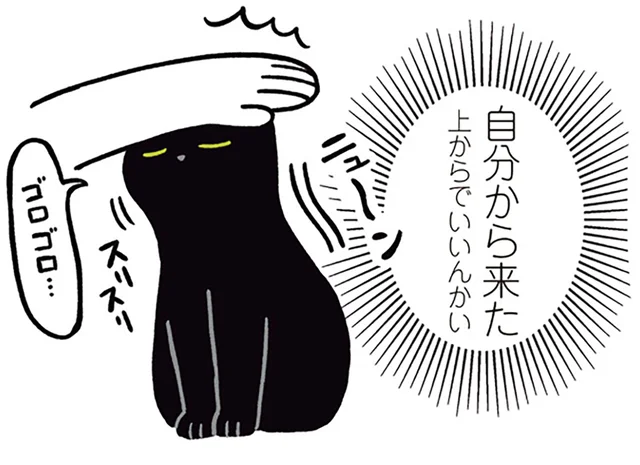 なでられるのを待たない！黒猫ろんの「セルフよしよし」