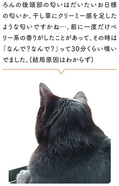 ろんの後頭部の匂いはだいたいお日様の匂いか、干し草にクリーミー感を足したような匂いですかね…