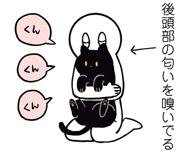 どうしてもやめられない！最後は怒られちゃう、黒猫ろんとのひとコマ