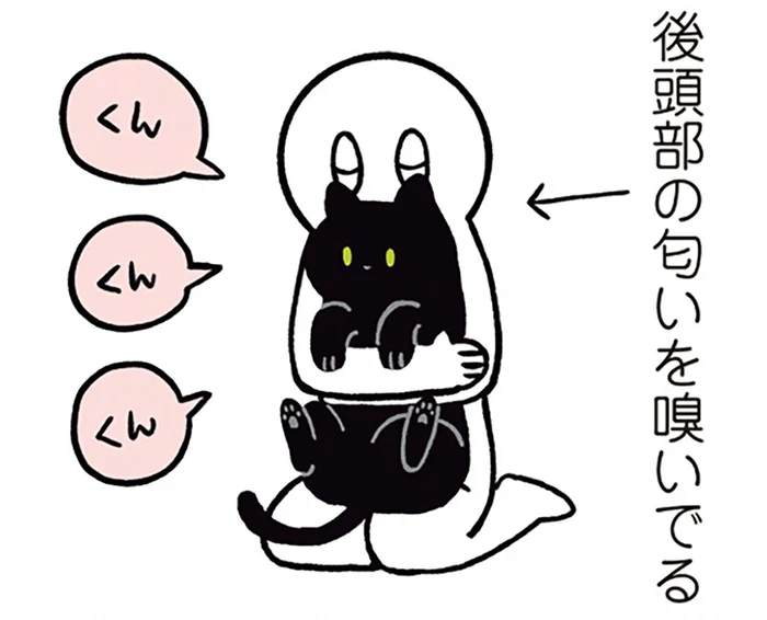 どうしてもやめられない！最後は怒られちゃう、黒猫ろんとのひとコマ