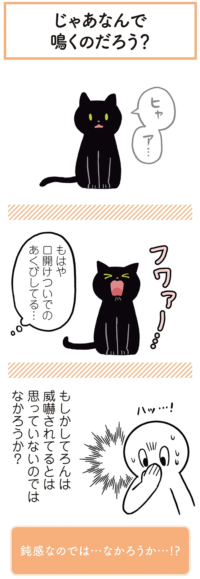 もはや口開けついでのあくびしてる…