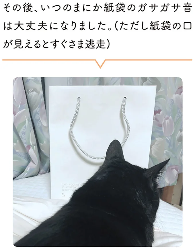 その後、いつのまにか紙袋のガサガサ音は大丈夫になりました