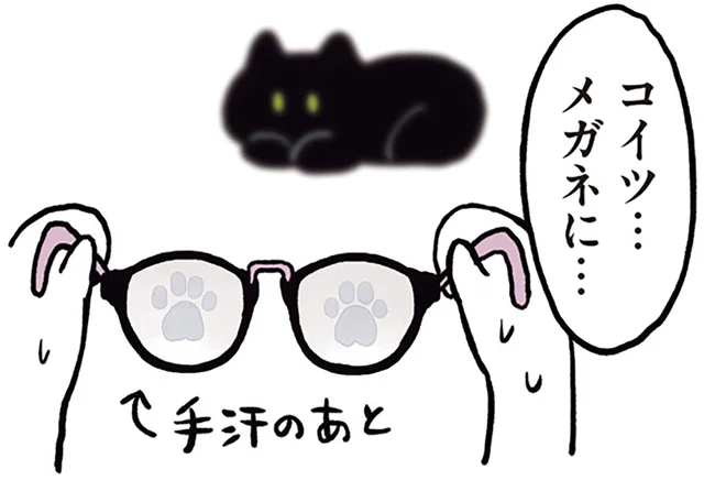 だっこ中にまさかの一撃。メガネに興味津々な黒猫ろん