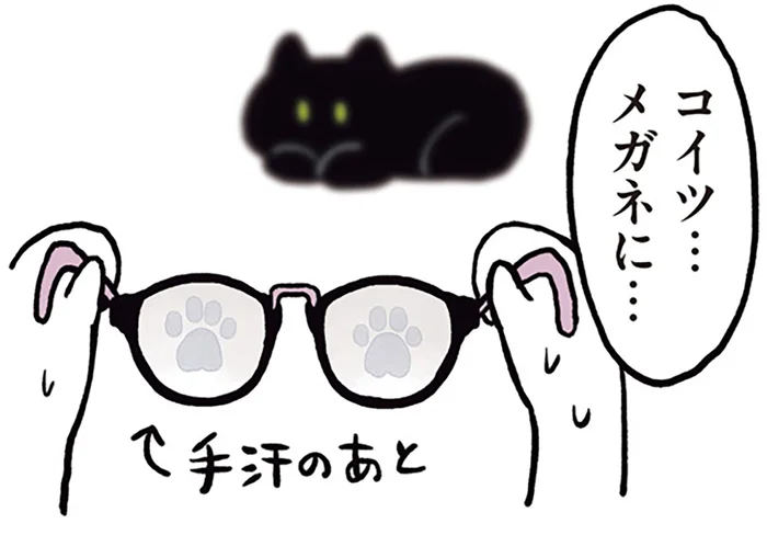 だっこ中にまさかの一撃。メガネに興味津々な黒猫ろん