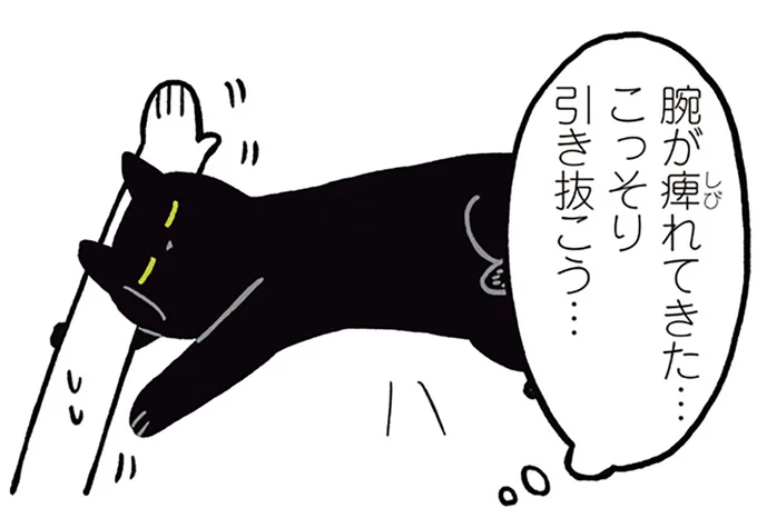 こっそり引き抜こう…