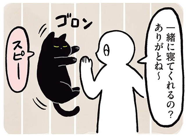 へとへとの夜は、いっしょにゴロン。黒猫ろんのやさしい寄り添い