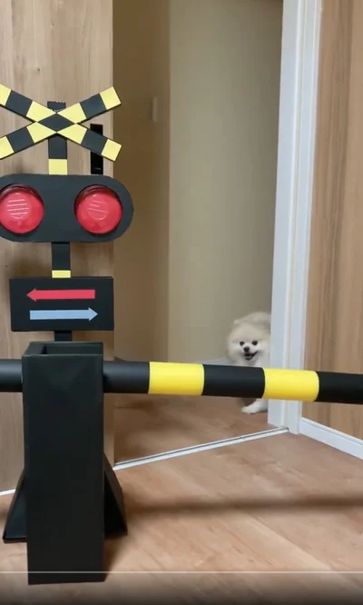 飼い主が作った踏切を見て愛想笑いで帰っていくちくわちゃん▶「これは何だろう…？」（⇒次へ）