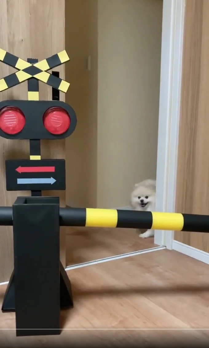 飼い主が作った踏切を見て愛想笑いで帰っていくちくわちゃん▶「これは何だろう…？」（⇒次へ）