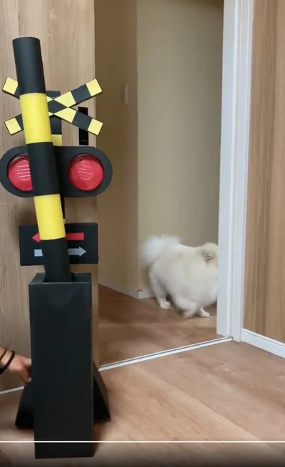 やっぱり愛想笑いで帰っていくちくわちゃん▶病院で緊張している様子のちくわちゃん（⇒次へ）