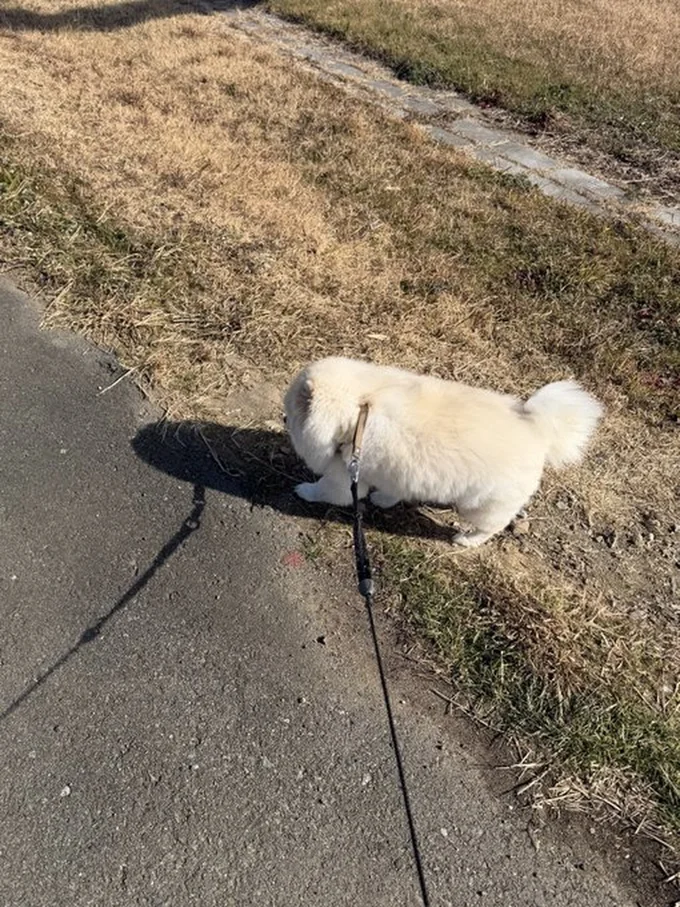 スリーサイズが揃っているちくわちゃん▶可愛すぎる寝姿（⇒次へ）