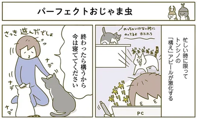 『うちの猫がまた変なことしてる。2』より