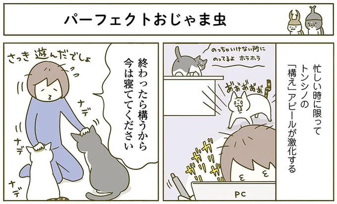 『うちの猫がまた変なことしてる。2』より