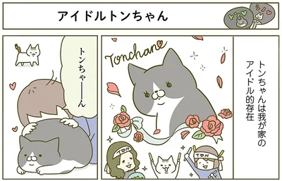 『うちの猫がまた変なことしてる。2』より