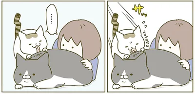 『うちの猫がまた変なことしてる。2』より
