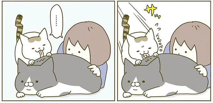 『うちの猫がまた変なことしてる。2』より