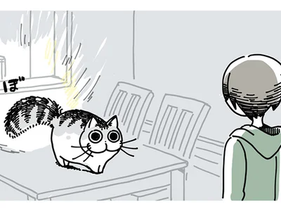 しっぽを膨らませている猫