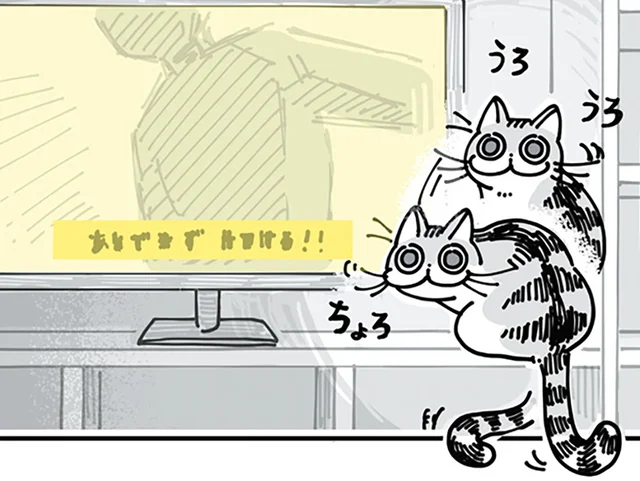 映画を見ていると邪魔してくるネコ。字幕が見えないけど愛らしすぎる