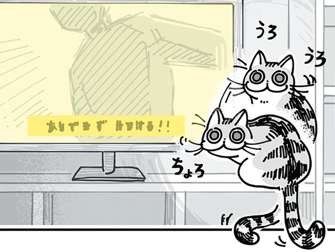 テレビの前でうろちょろ