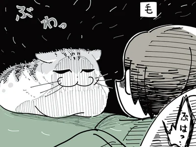 換毛期