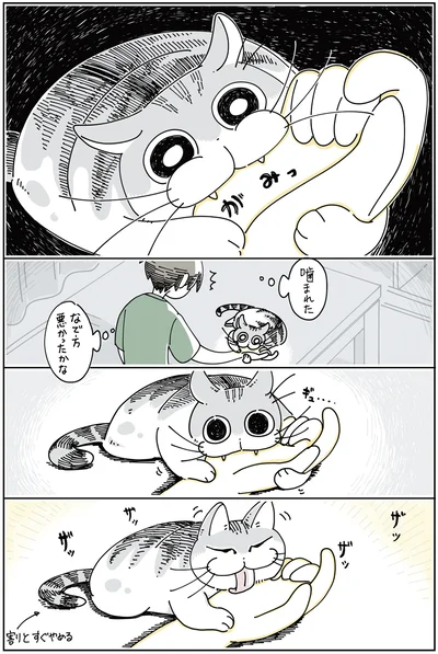 なで方悪かったかな