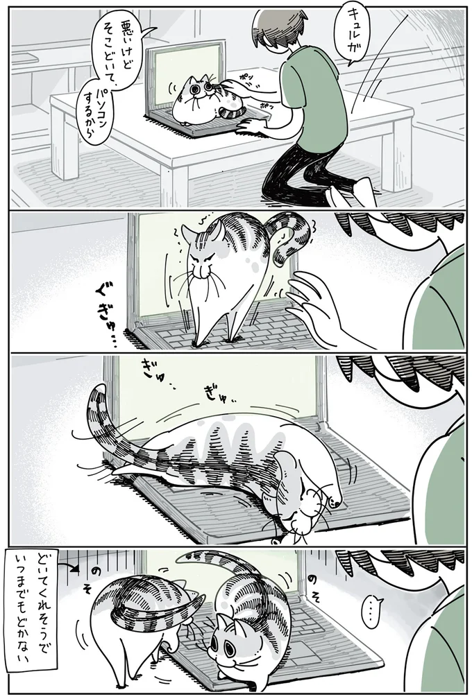 どいてくれそうでいつまでもどかない