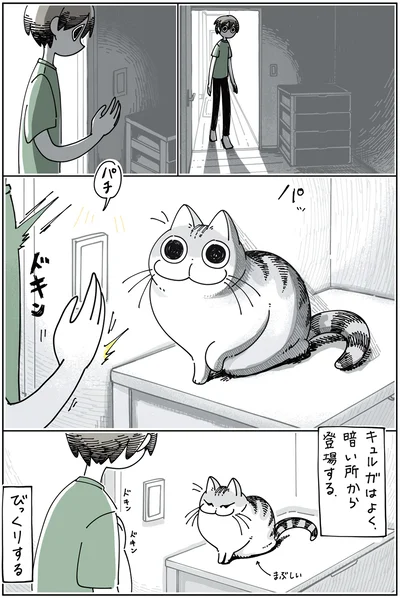 ネコにびっくりする