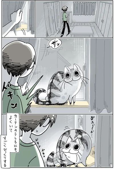 カーテンのうしろにもよくいて、すごくびっくりする