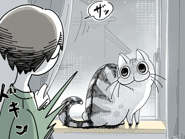 びっくりした！ 暗いところからよく現れる猫にびっくり＆ほっこり