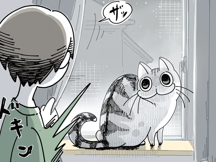 びっくりした！ 暗いところからよく現れる猫にびっくり＆ほっこり