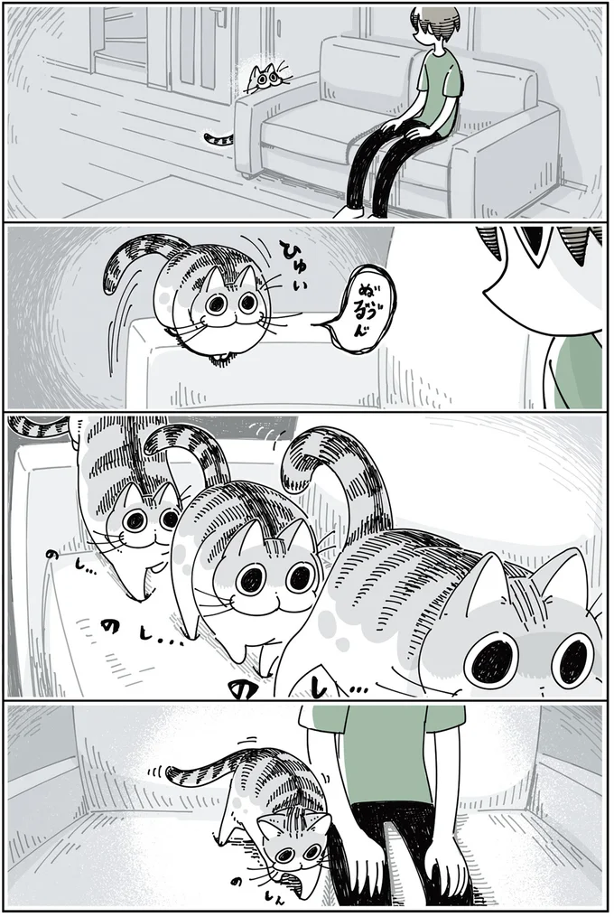 となりに座るネコ